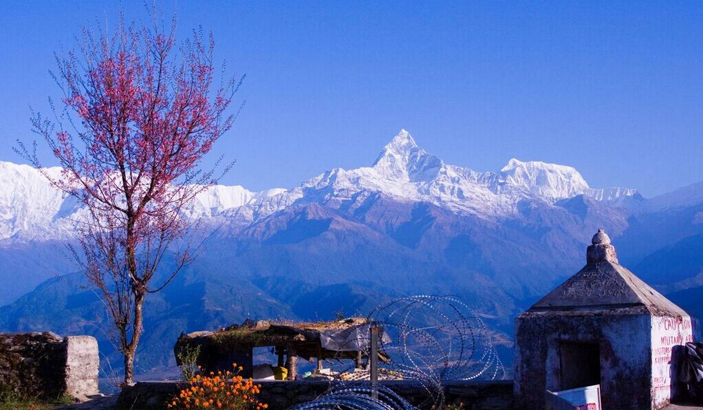 【尼泊尔】深度9日蓝毗尼之旅 