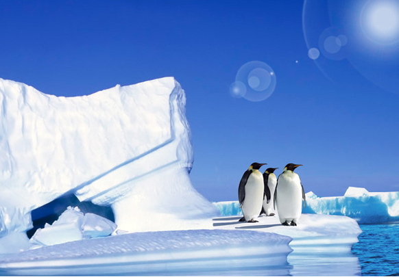 【情迷系列】挚爱极地---纯美南极+南美四国摄影31天璀璨之旅